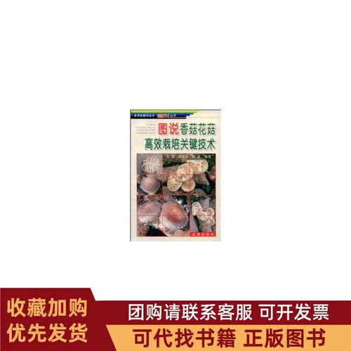 香菇栽培关键技术有哪些要点?-图1 香菇栽培关键技术有哪些要点?-图1