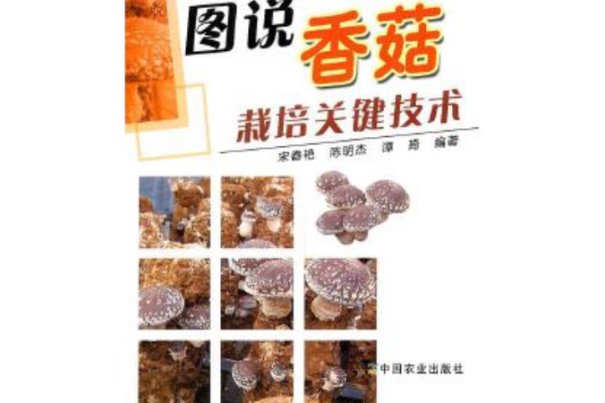 香菇栽培关键技术有哪些要点?-图2 香菇栽培关键技术有哪些要点?-图2
