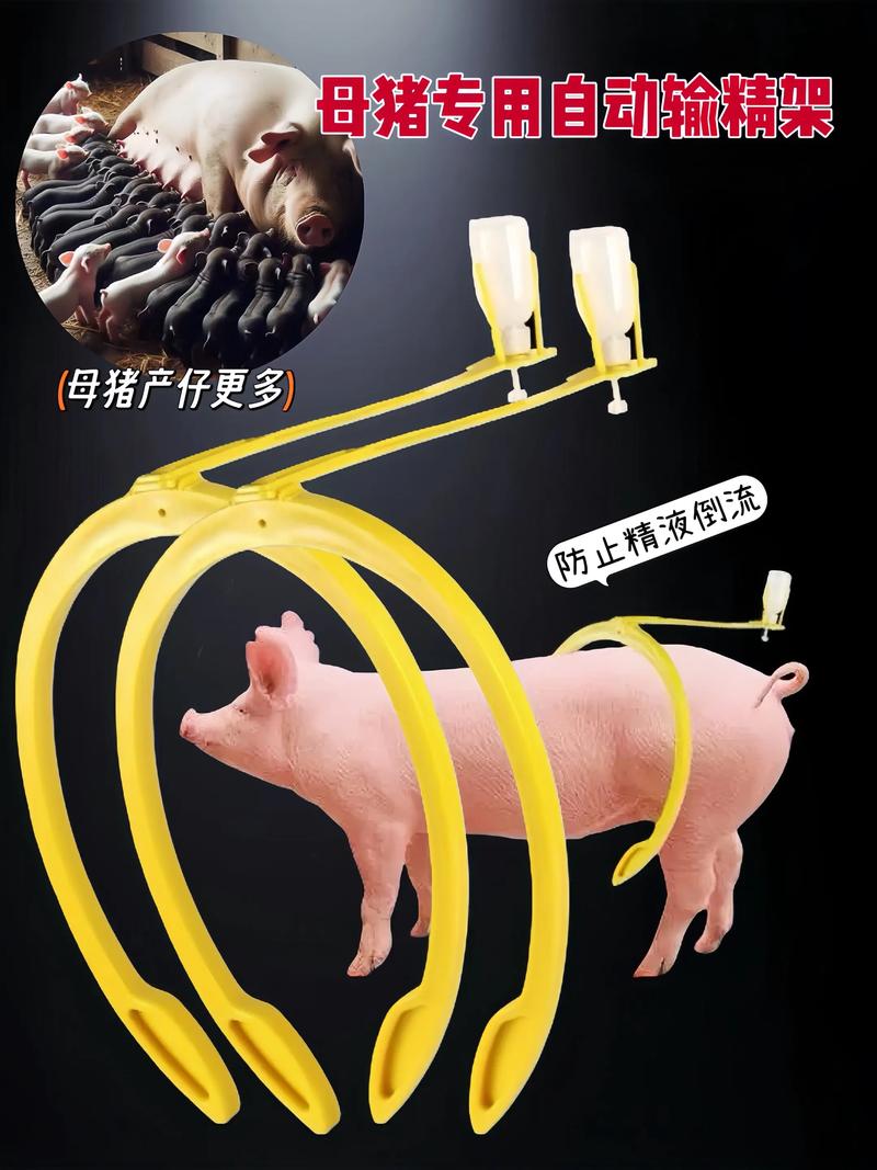 养猪人工授精视频,技术要点有哪些?-图2 养猪人工授精视频,技术要点有哪些?-图2