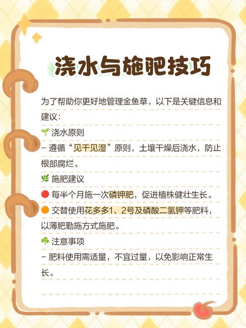 金鱼草有哪些主要栽培品种？-图2