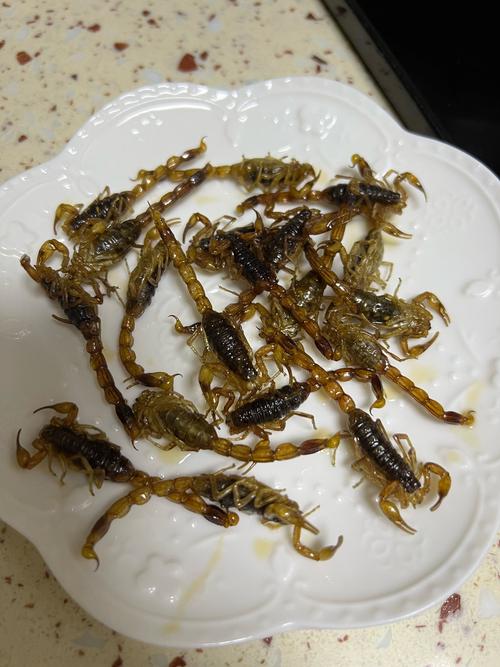 蝎子最有效的脱皮技术-图3