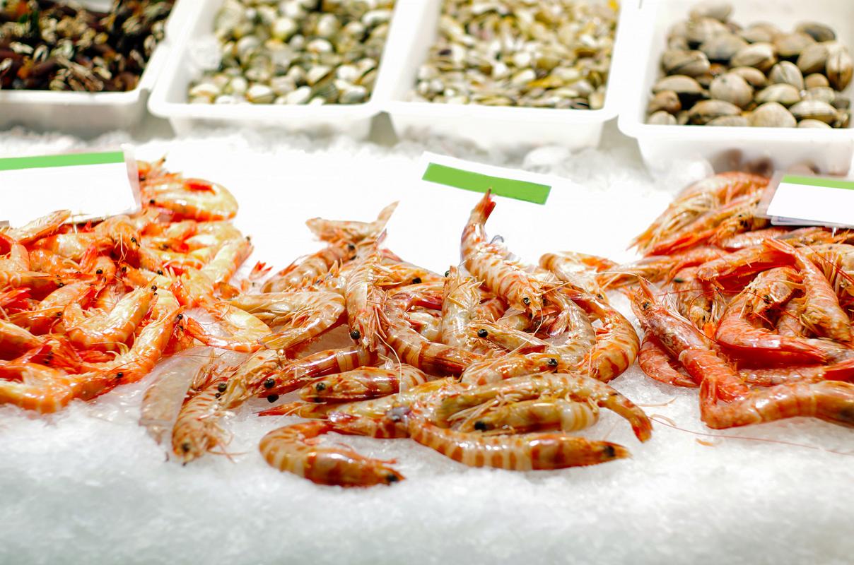 水产新品种有哪些?农业部如何推广?-图3 水产新品种有哪些?农业部如何推广?-图3