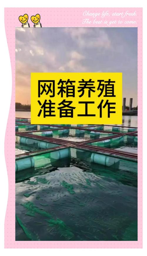 网箱鳝鱼养殖技术视频-图1 网箱鳝鱼养殖技术视频-图1