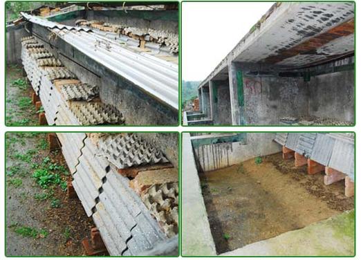 邢台野生蝎子养殖技术要点有哪些？-图1