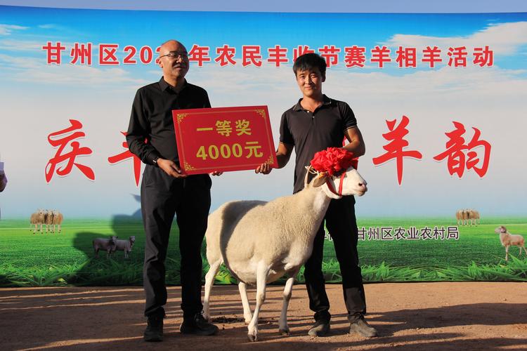 2025年山羊收购价会是多少?-图3 2025年山羊收购价会是多少?-图3