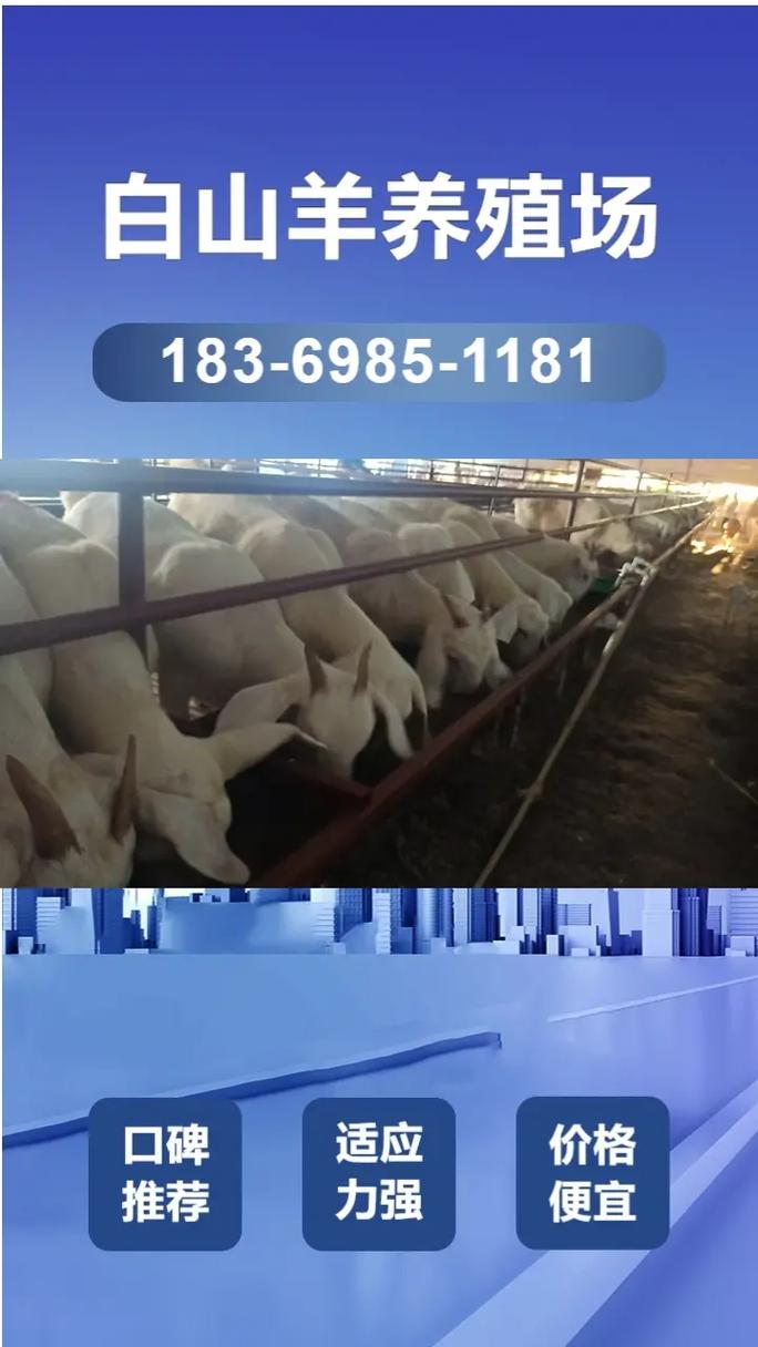 2025年山羊收购价会是多少?-图2 2025年山羊收购价会是多少?-图2