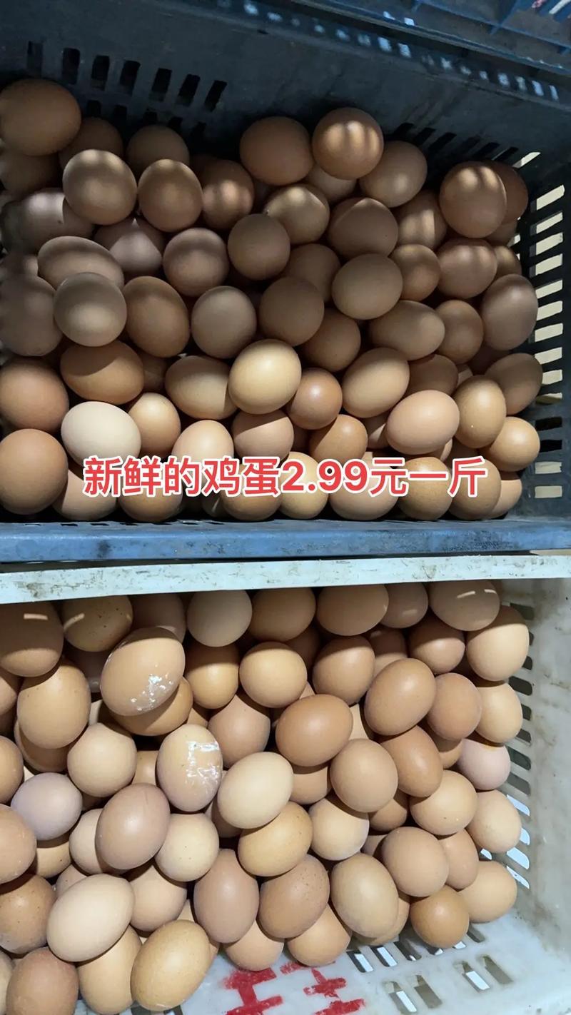 今日乌鲁木齐鸡蛋价格多少？-图2
