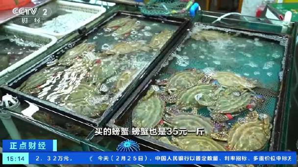 2025青岛海蟹价格会涨还是跌？-图2