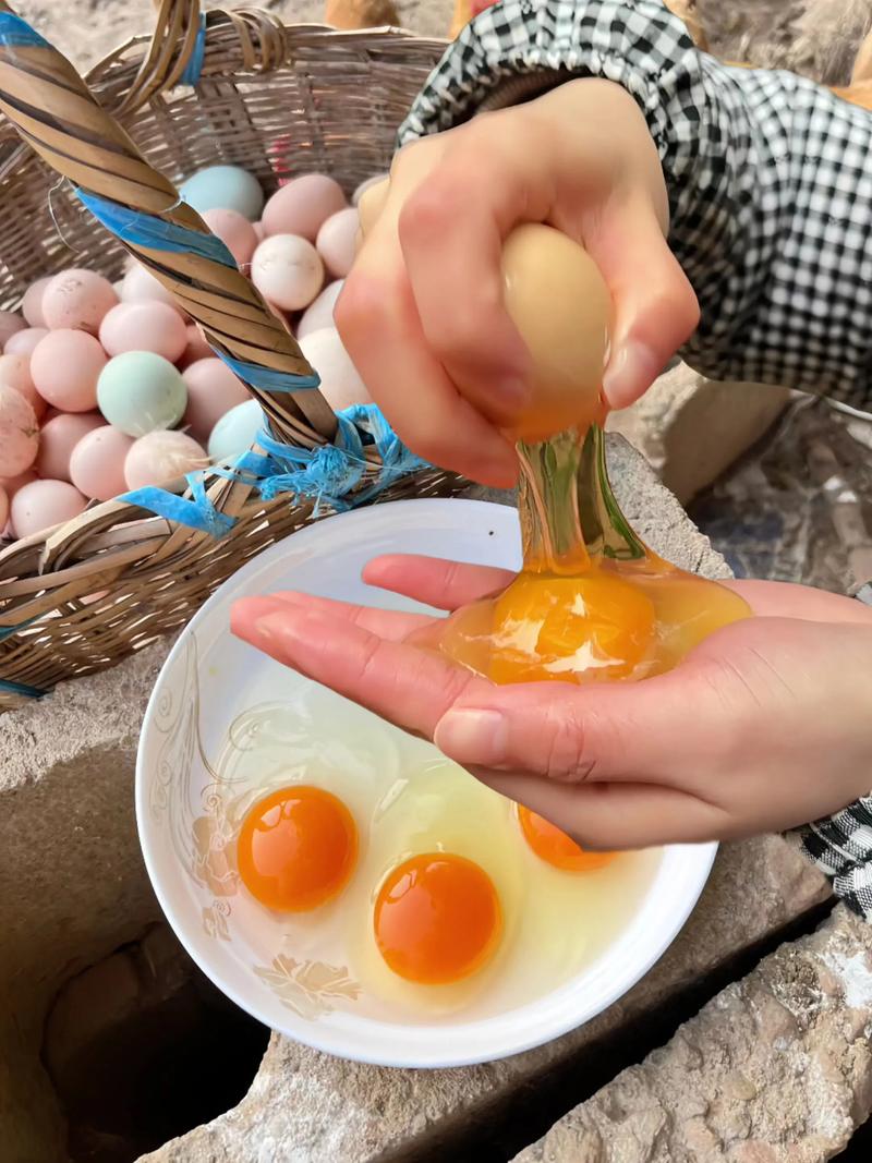 土鸡品种哪个产蛋量更高？-图2