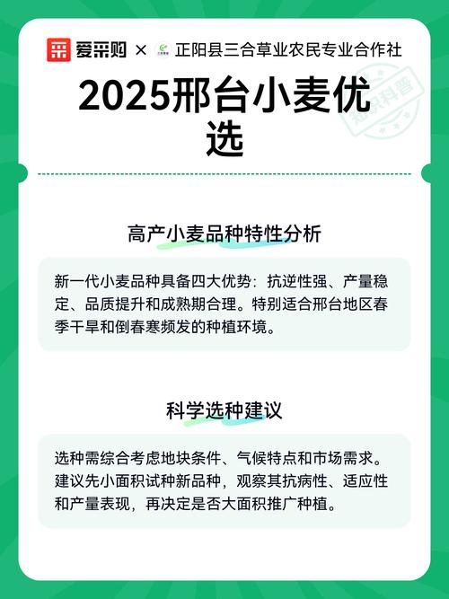 2025小麦价格会涨还是跌?-图2 2025小麦价格会涨还是跌?-图2