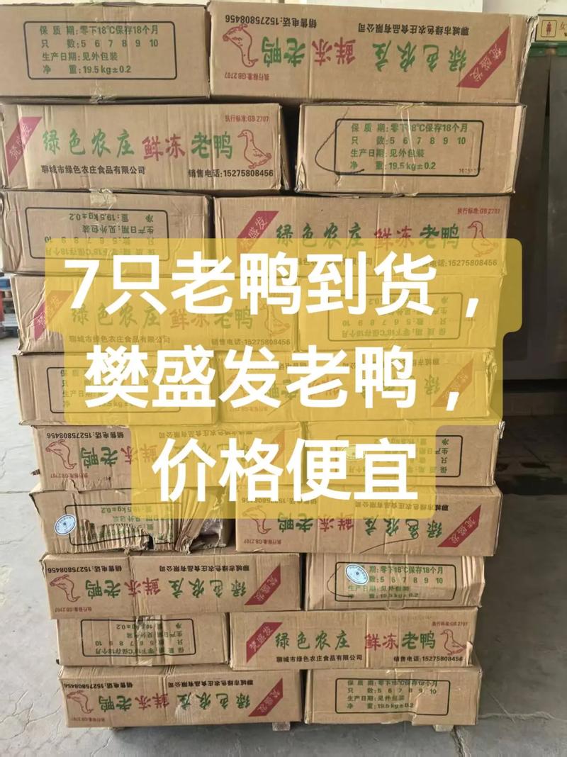 2025年鸭子收购价会是多少？-图2