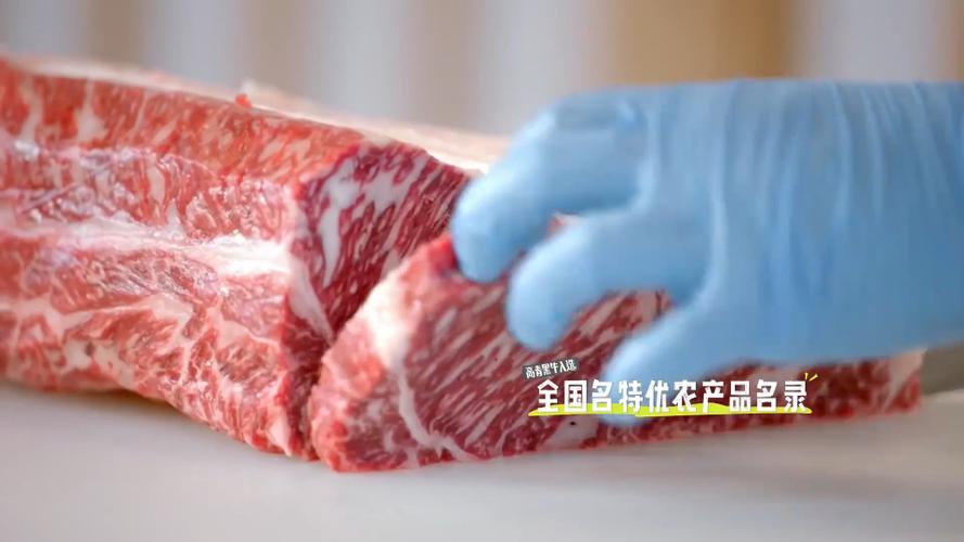 山东黑牛是哪个品种？-图2