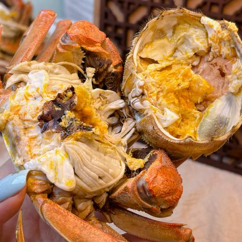 2025盘锦河蟹价格会涨还是跌？-图1