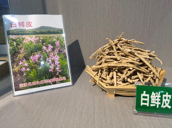 2025年白鲜皮价格会涨还是跌?-图2 2025年白鲜皮价格会涨还是跌?-图2