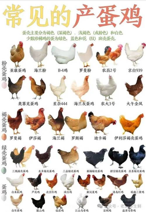 特种养殖品种有哪些?-图1 特种养殖品种有哪些?-图1