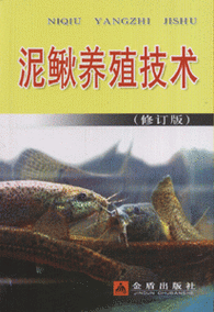 台湾泥鳅养殖技术怎么学？-图3