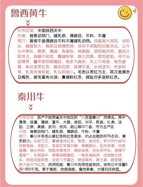 中国最常见牛的品种有哪些？-图1