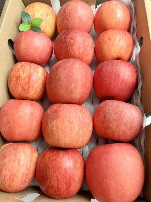 苹果常见品种有哪些？-图2