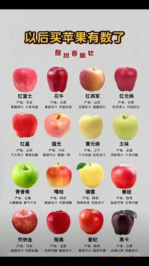 苹果常见品种有哪些？-图1