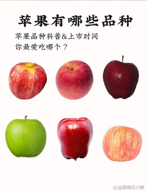 苹果常见品种有哪些？-图3