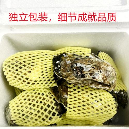 钦州生蚝批发价现在多少?-图2 钦州生蚝批发价现在多少?-图2