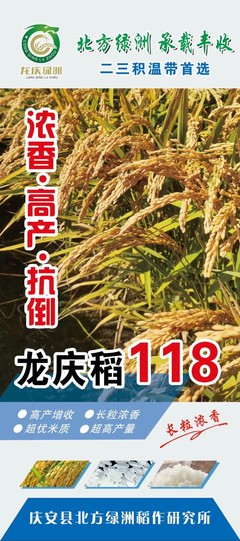 龙粳39水稻品种有何特性优势?-图3 龙粳39水稻品种有何特性优势?-图3