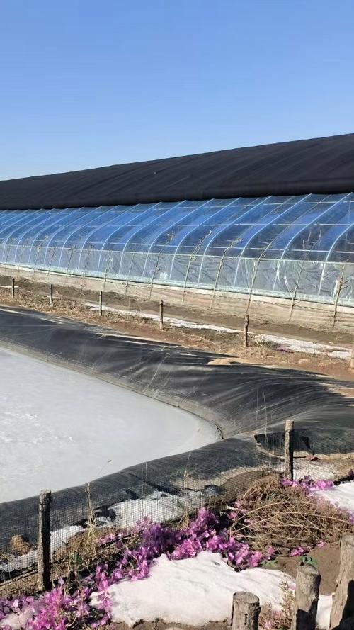 简易大棚鳝鱼养殖技术怎么掌握？-图1