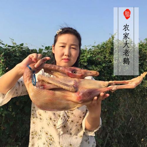 老鹅肉价格多少钱一斤?-图3 老鹅肉价格多少钱一斤?-图3