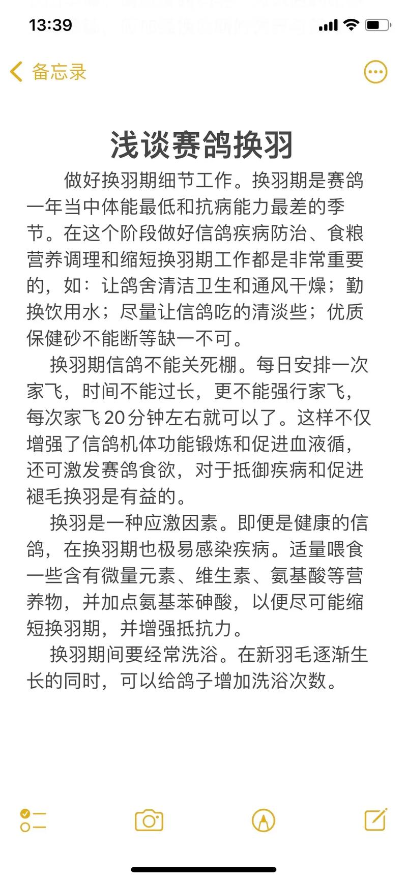 鸽子养殖技术视频，新手如何快速入门？-图3