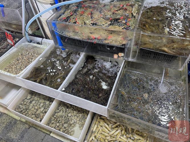 成都水产批发价格行情如何？-图2
