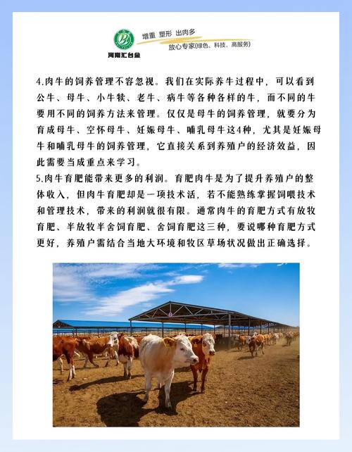 优质肉牛饲养管理技术要点有哪些？-图3