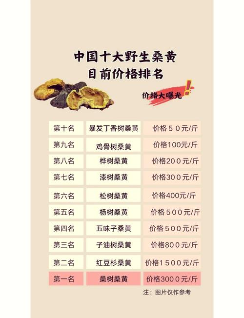 千岛湖王建功桑黄价格多少？-图1