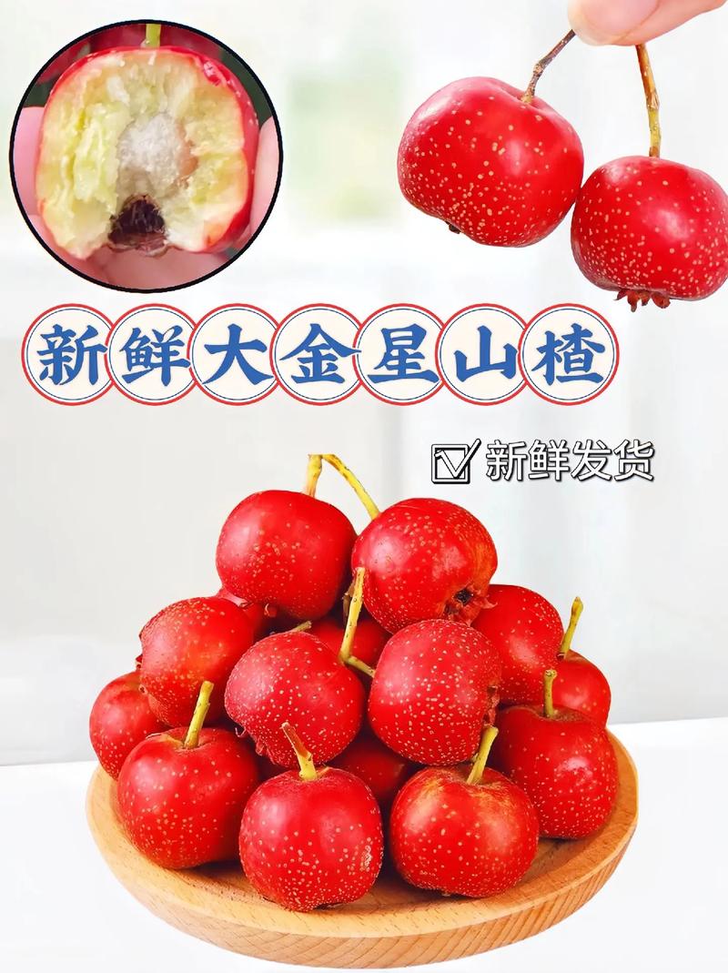 哪种山楂适合做加工？-图1