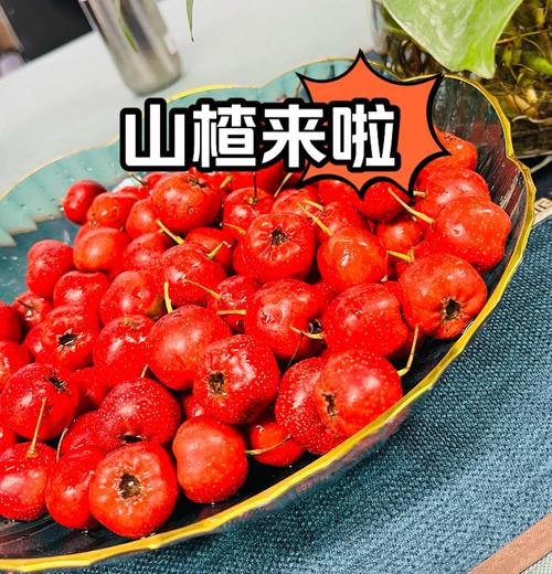 哪种山楂适合做加工？-图3