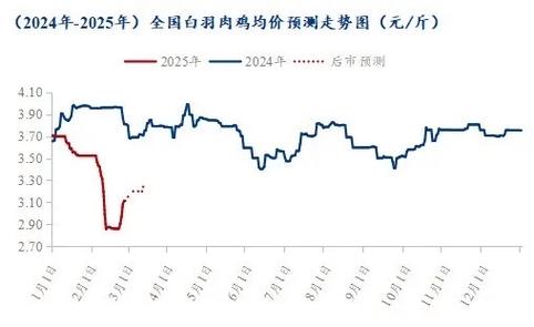 吉林肉食鸡价格行情如何?-图1 吉林肉食鸡价格行情如何?-图1