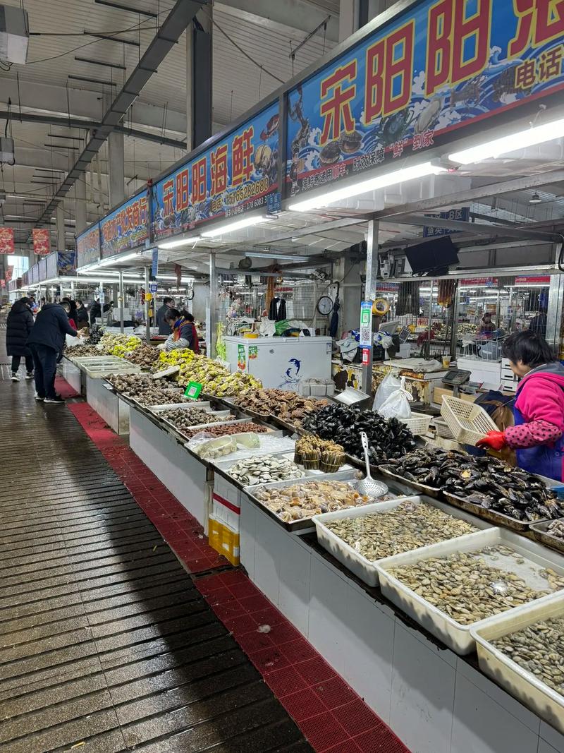 青岛城阳海鲜批发价多少钱一斤?-图1 青岛城阳海鲜批发价多少钱一斤?-图1