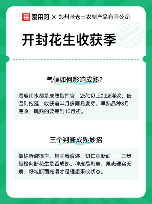 今日开封花生米价格多少钱一斤?-图1 今日开封花生米价格多少钱一斤?-图1