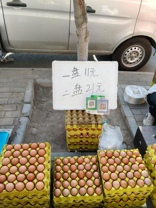 临沭鸡蛋批发价现在多少钱？-图2