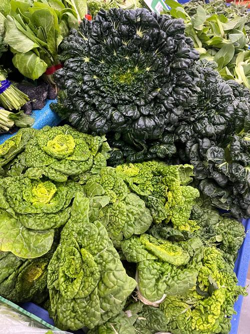 冬季常见蔬菜有哪些品种？-图2