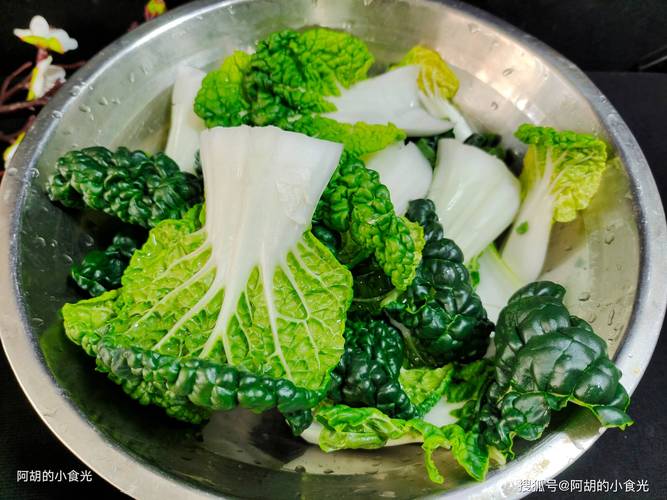 冬季常见蔬菜有哪些品种？-图3