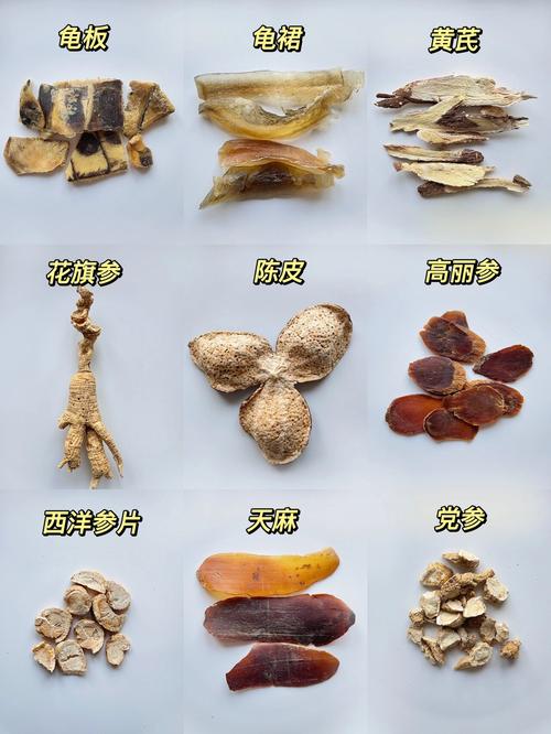 家庭养殖中药材品种哪些适合新手?-图1 家庭养殖中药材品种哪些适合新手?-图1