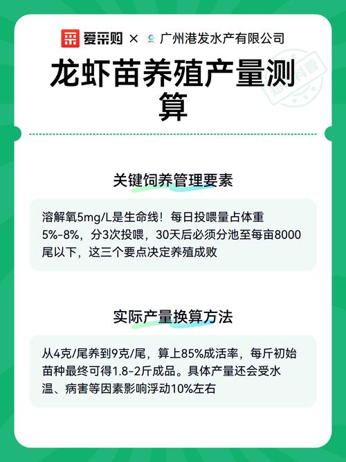 小龙虾苗价多少一斤？-图2