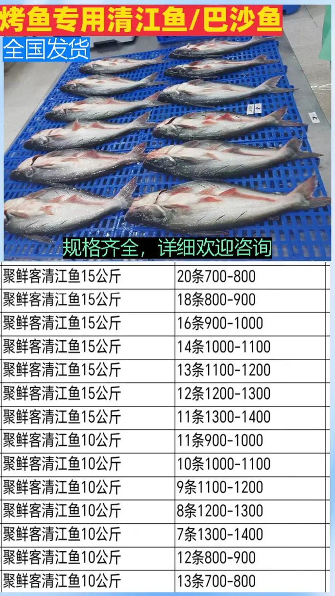 中国海鱼批发价格近期有何变化？-图1