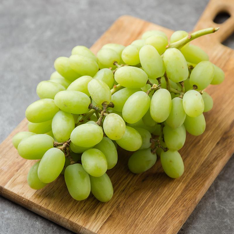 南非青提哪个品种最好?-图1 南非青提哪个品种最好?-图1