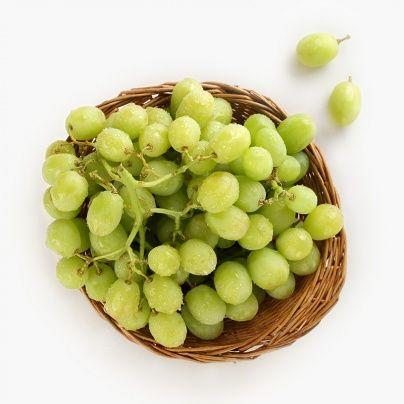 南非青提哪个品种最好?-图2 南非青提哪个品种最好?-图2