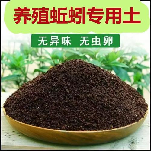 牛粪发酵养蚯蚓，技术要点有哪些？-图1