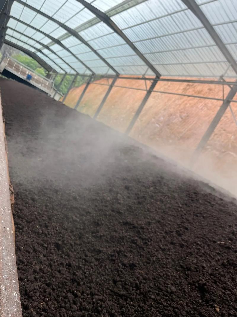 牛粪发酵养蚯蚓，技术要点有哪些？-图3