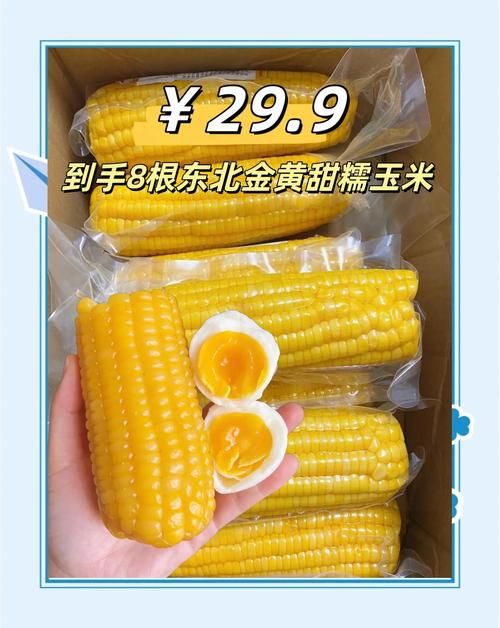 哈尔滨玉米价格现在多少钱？-图1