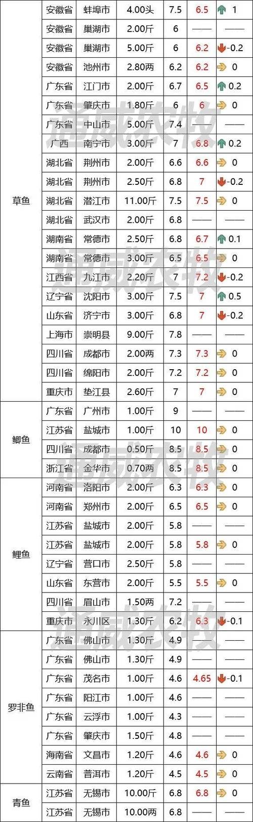 湛江泥鳅收购价多少钱一斤？-图3