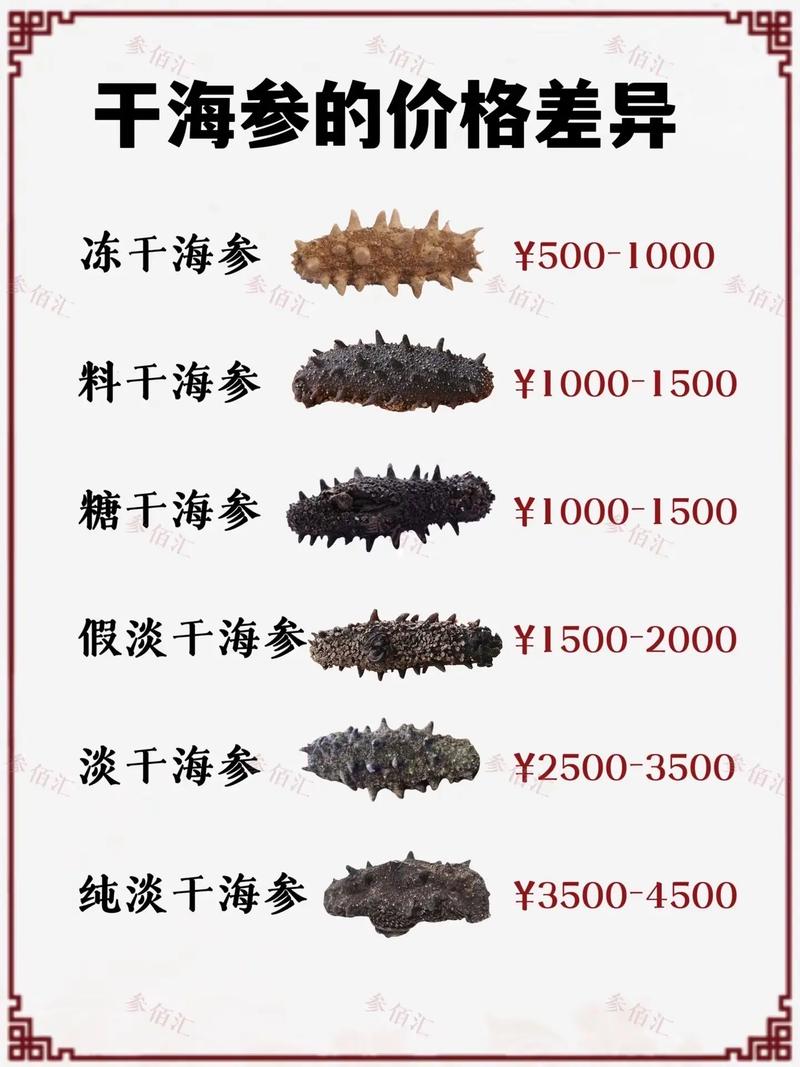 日照海参多少钱一斤？-图2